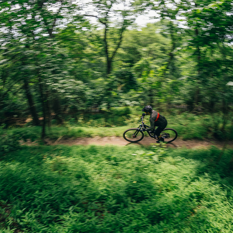 Mountain Biking Trails Hillman State Park