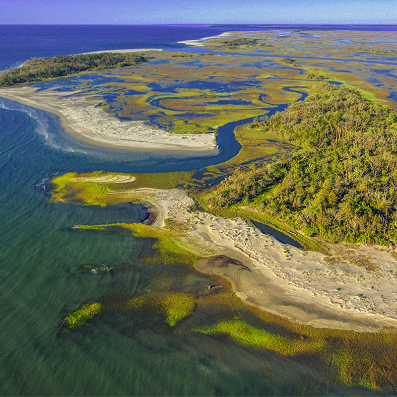 Little Tybee Island 