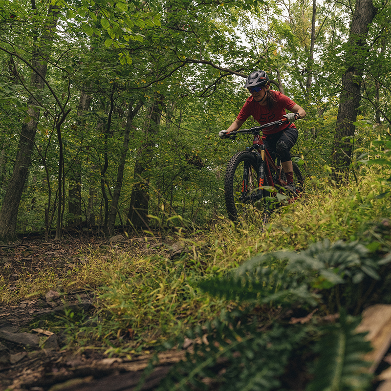 A person rides their mountain bike in North Park