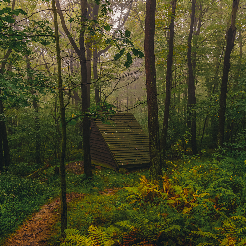 A shelter is seen on the  Laurel Highlands Hiking Trail