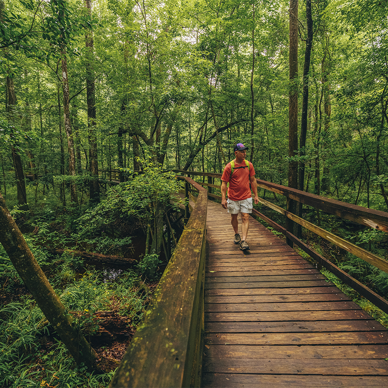 Man walking on bridge at Congaree National Park