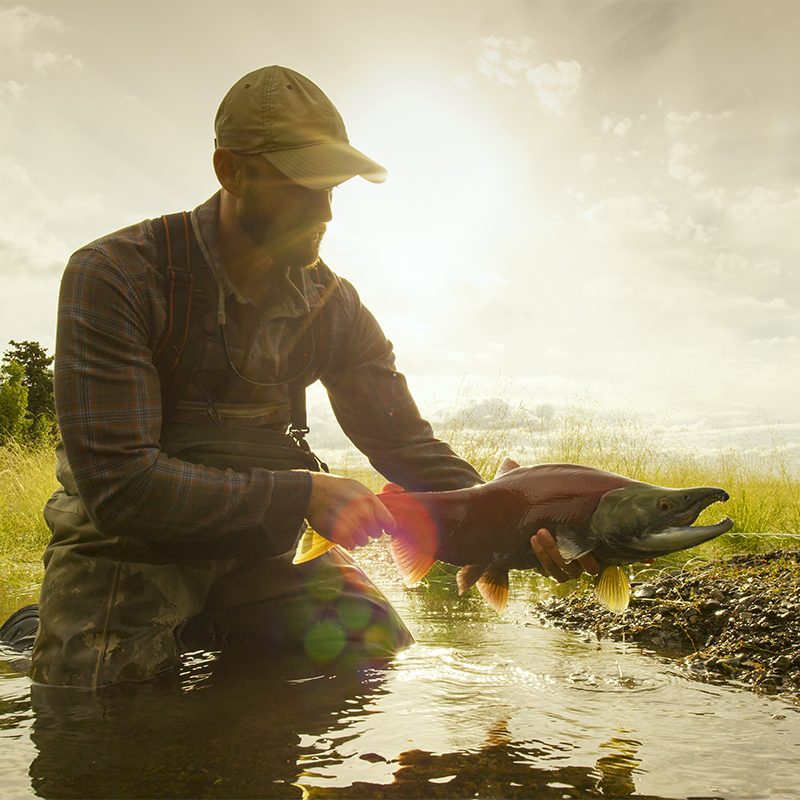 A man holds a salmon, Kenai National Wildlife Refuge, Alaska