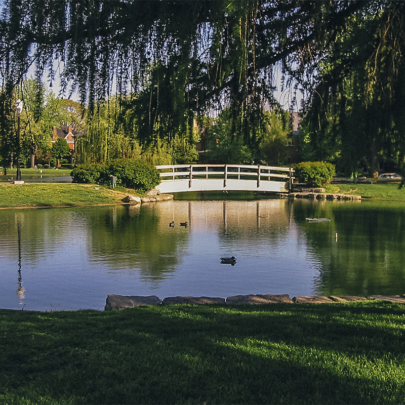A view of Schiller pond