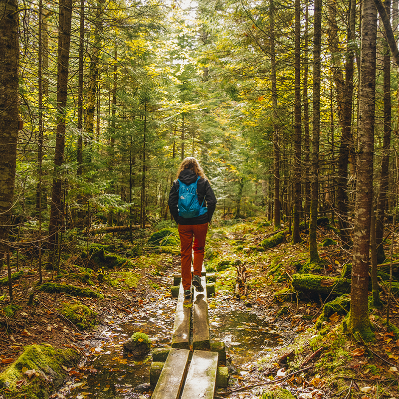 A woman walks across a bog bridge on her way to Gulf Hagas, the Grand Canyon of the East, in the 100-Mile Wilderness in central Maine's North Woods.