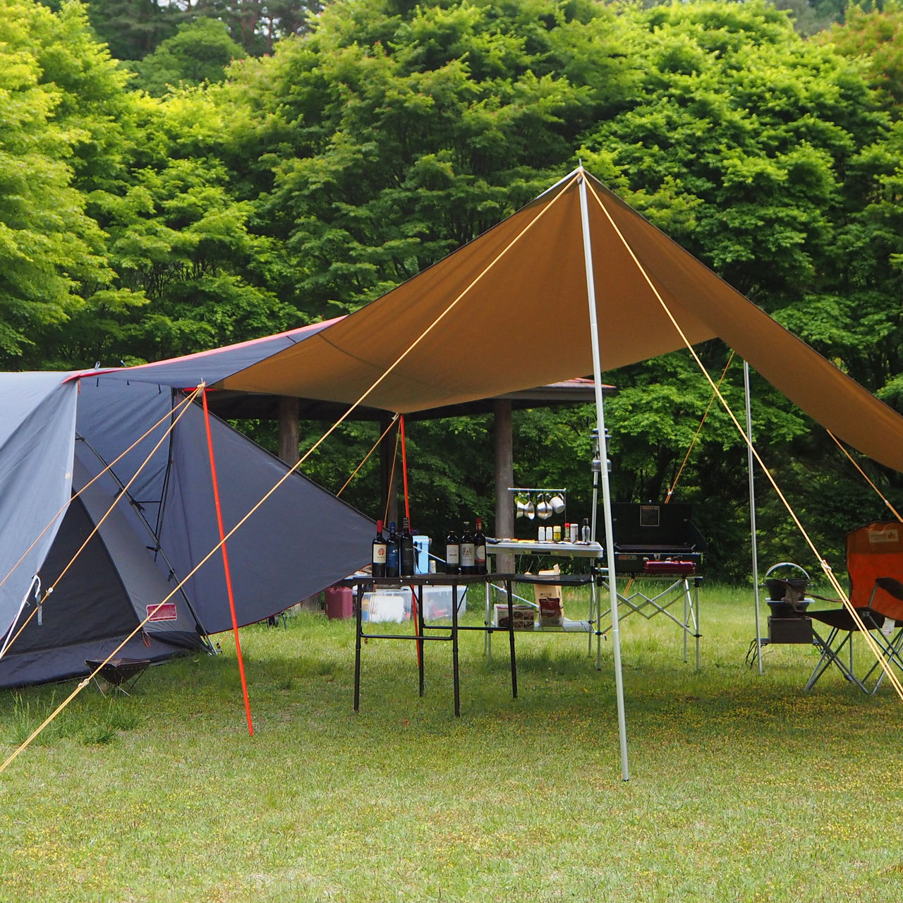 A tent and camp tarp is seen over an eating area