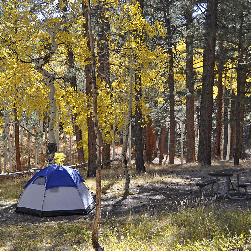 A tent sits in a campsite at the North Rim Campground in Grand Canyon National Park