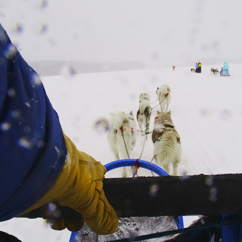 Dogsledding in northern Minnesota near the BWCA