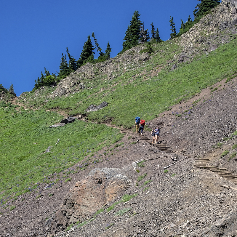 Hikers on Mount Ellinor Trail, Olympic National Park, Washington State