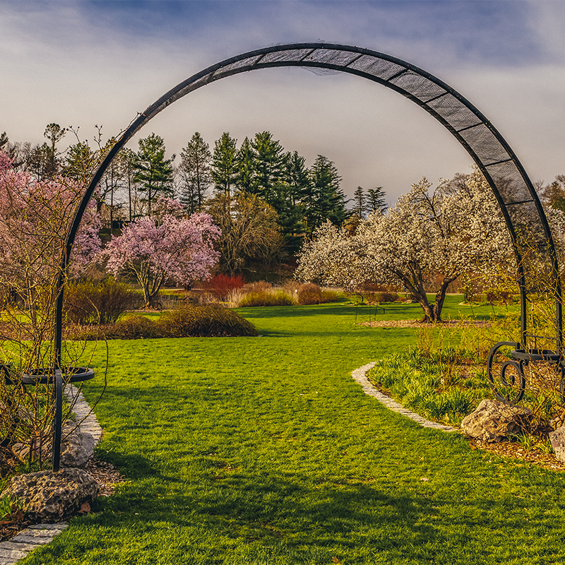 Massachusetts Boston Arnold Arboretum