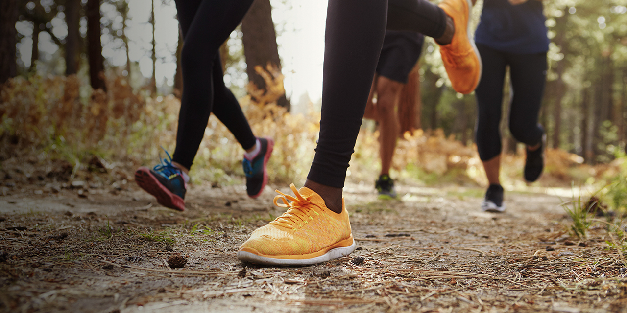  A group of four young adults trail running in forest