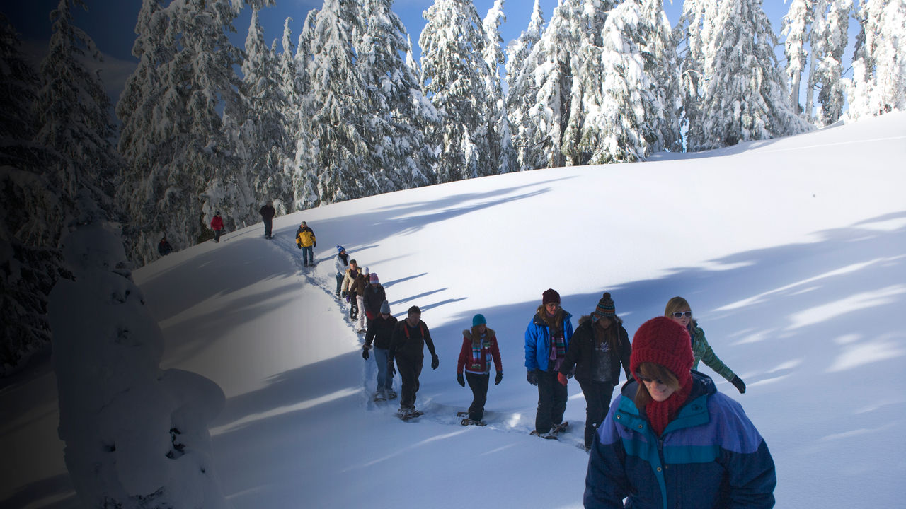 Visitors on a Ranger-Led Snowshoe Walk at Crater Lake National Park