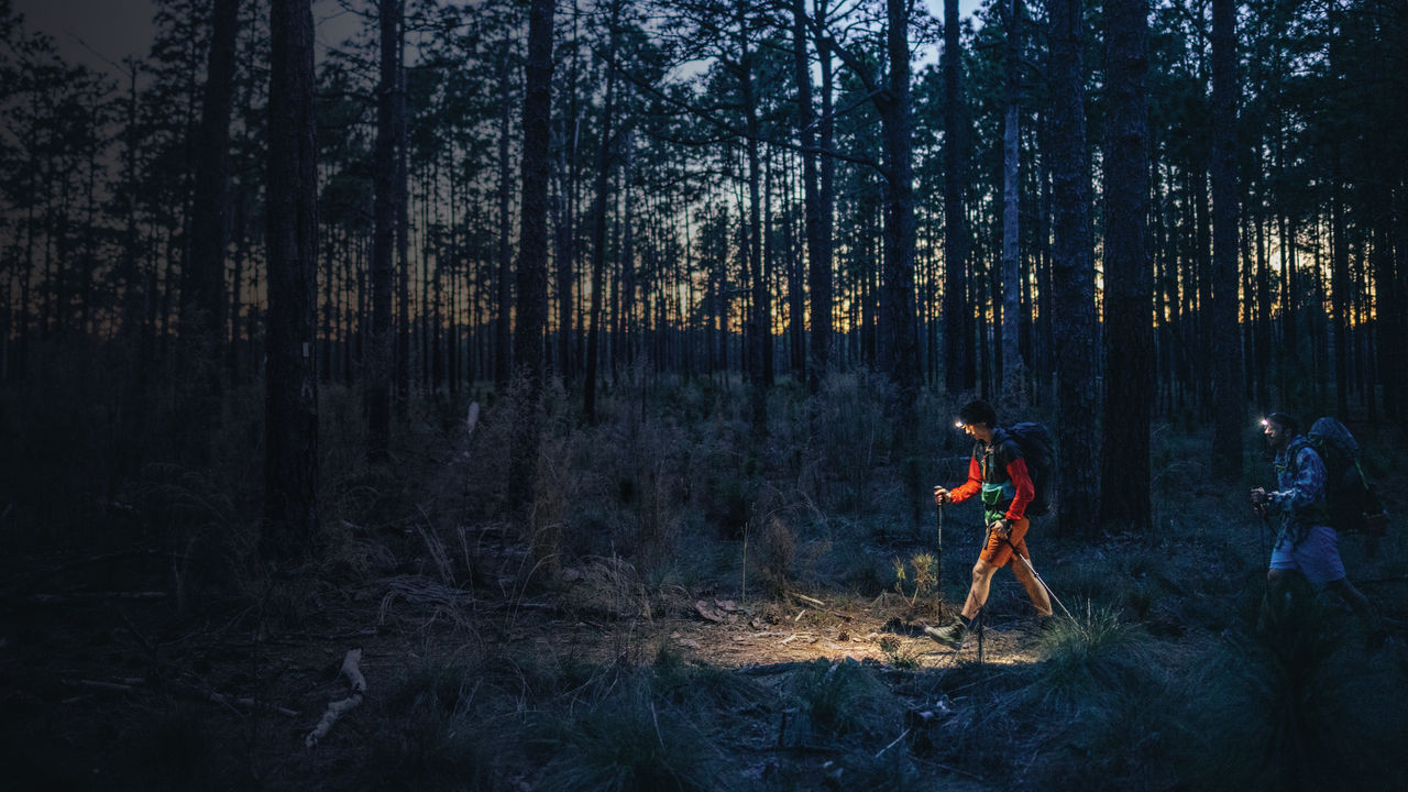 Two ultralight backpackers hike in the forest