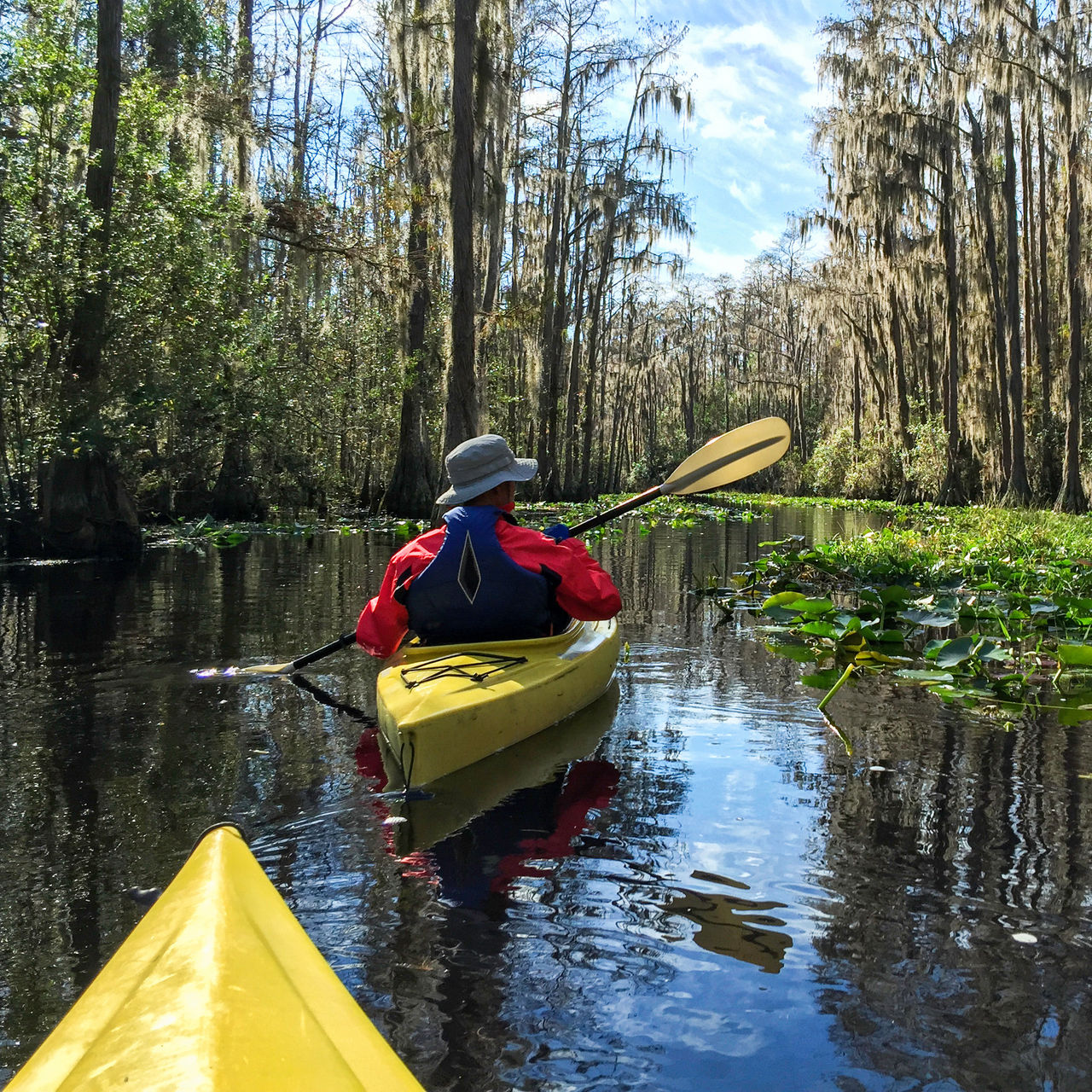 kayaking with alligators in the Deep South in Georgia's Okefenokee National Wildlife Refuge.