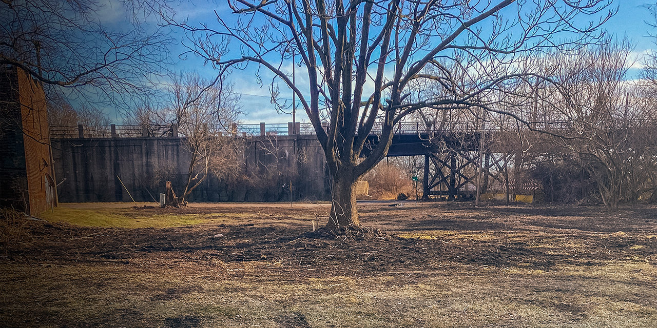 Future Valentine Conservation Community park site  landscape with a tree grass and mud