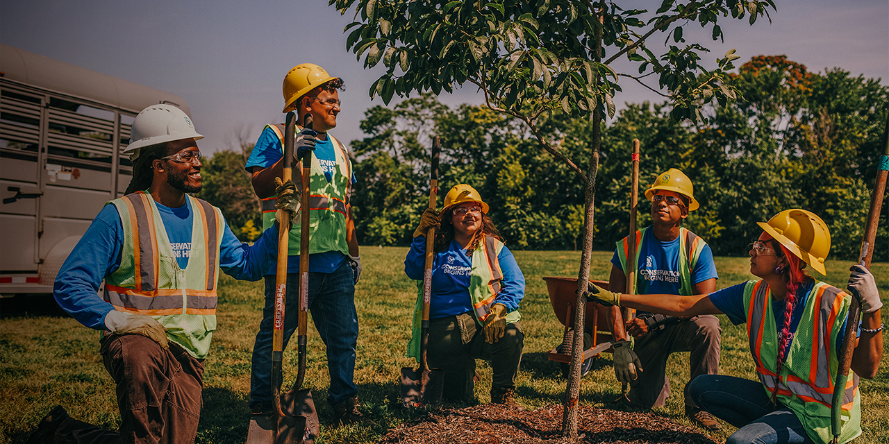 Students pose while planting a tree