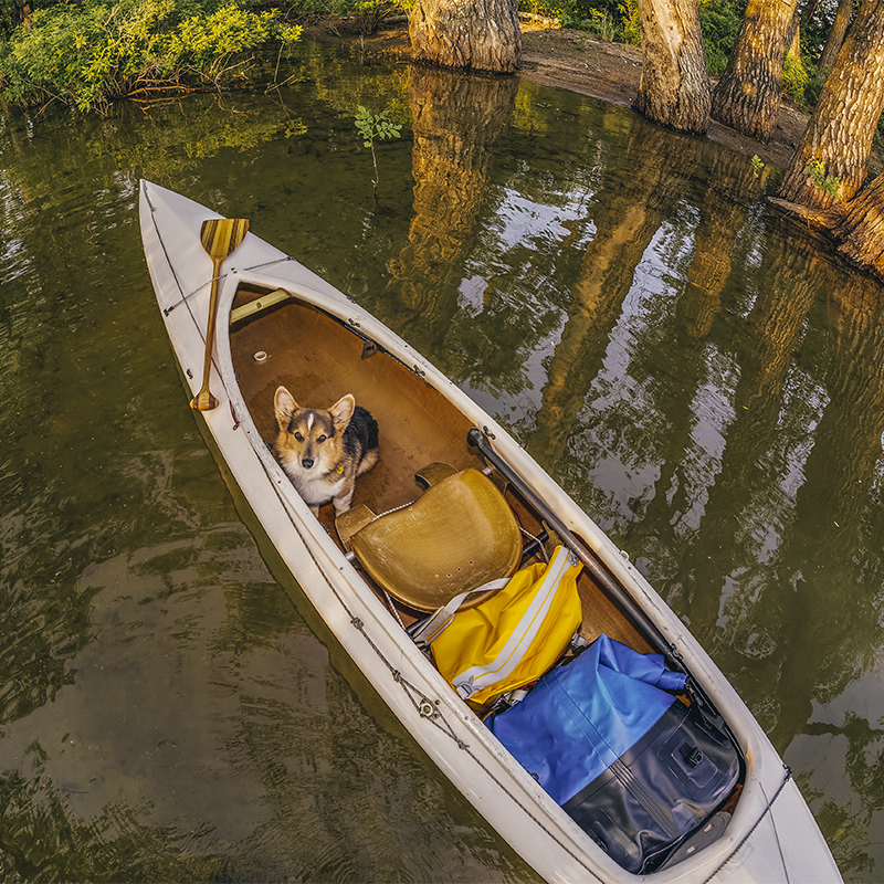 Best dry shop pack for kayaking