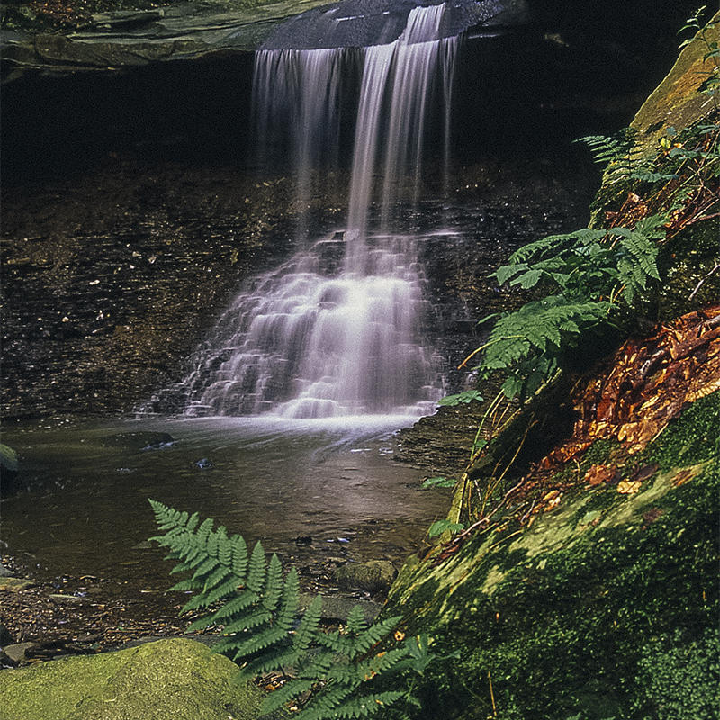 Blue Hen Falls in Cuyahoga Valley National Park during spring