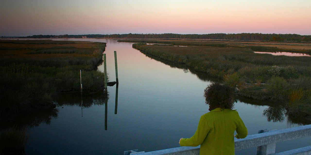 A visitor looks out over Stewart's Canal at Harriet Tubman Underground Railroad National Historical Park