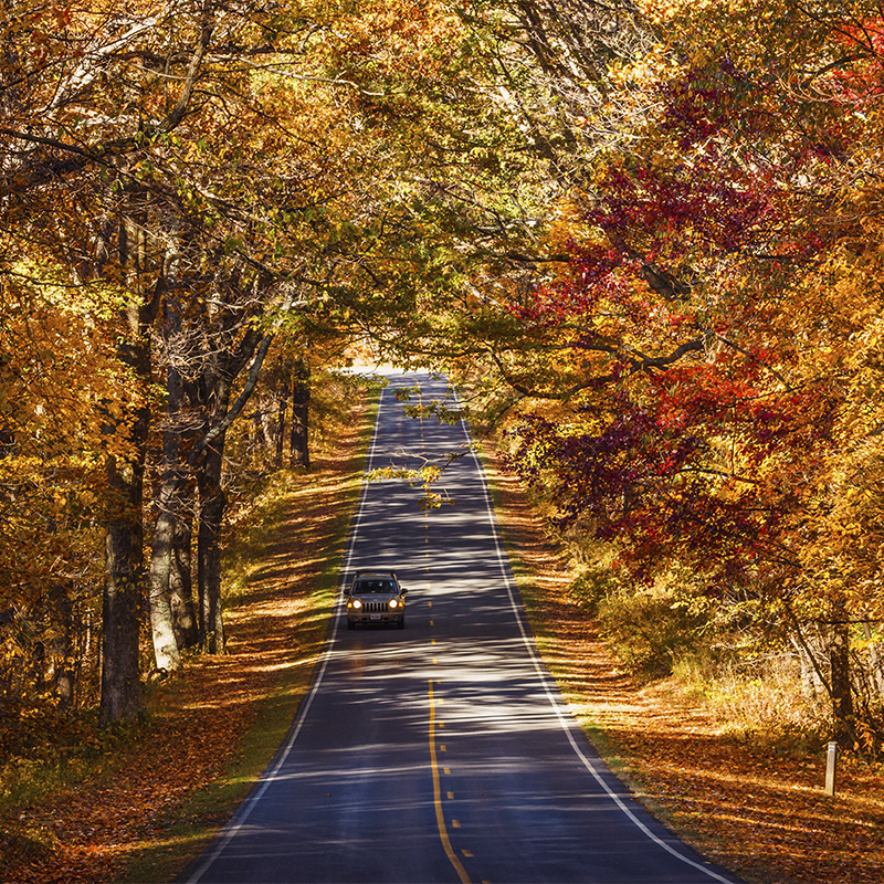 Fall colors along Skyline Drive in Shenandoah National Park