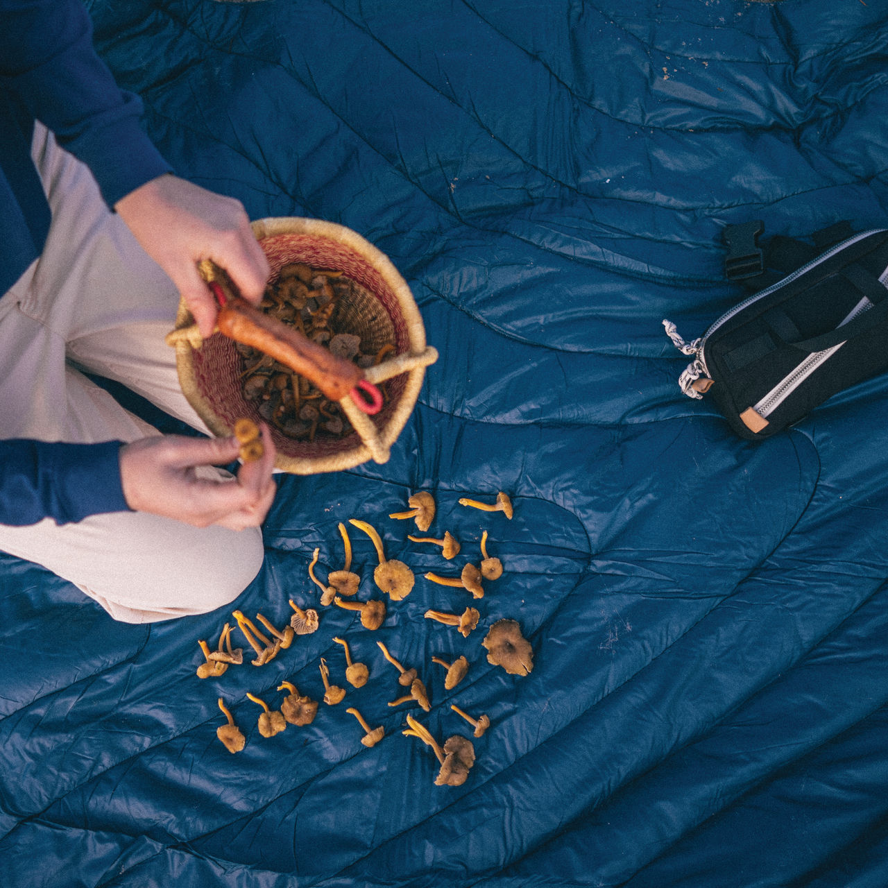 A woman picks out foraged mushrooms