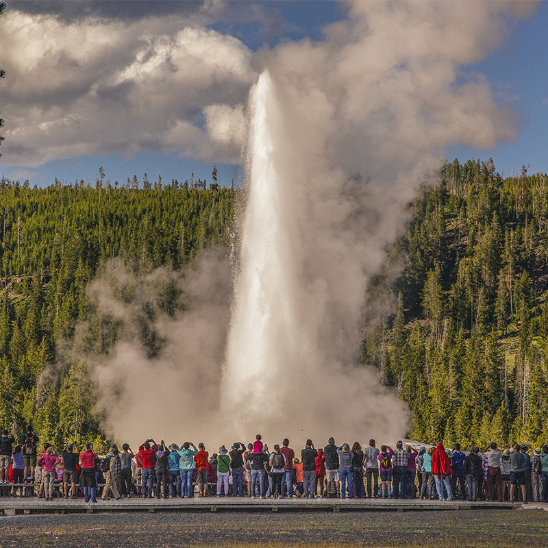 Early summer crowd at Old Faithful geyser 