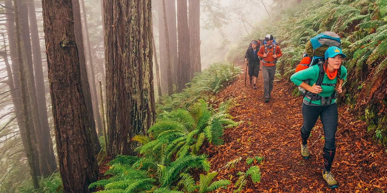 Backpackers hike on a trail through a foggy forest on the Lost Coast Trail in Sinkyone Wilderness State Park in Northern California.